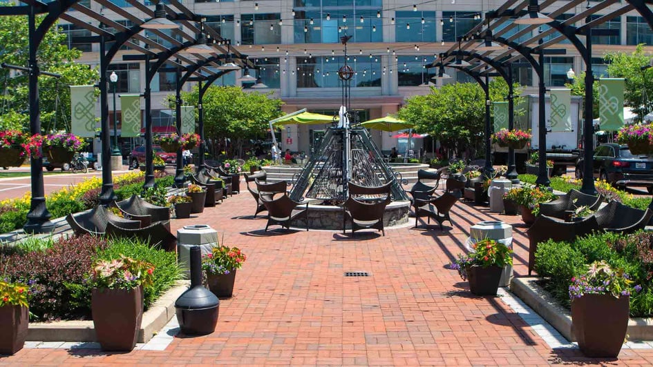 What Maintenance is Needed After a Commercial Landscape Installation?